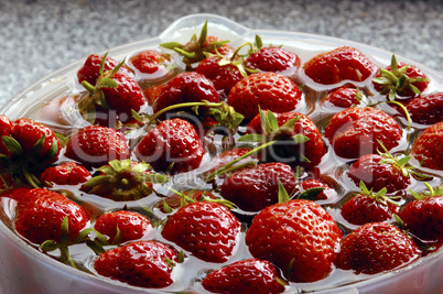frische Erdbeeren aus dem Garten