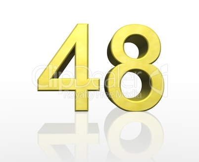 48 48