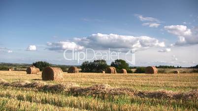 Straw bales