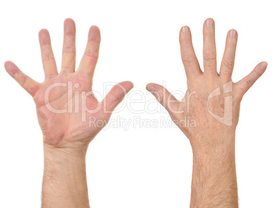 Male hands counting