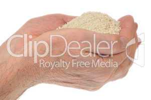 Hands holding rice