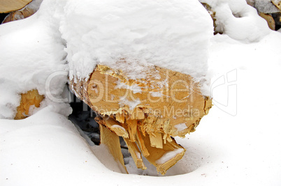 wood under the snow