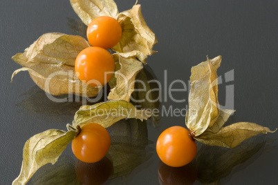 Physalis - Cape  gooseberry