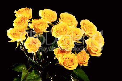 Bouquet of yellow roses