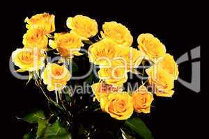 Bouquet of yellow roses