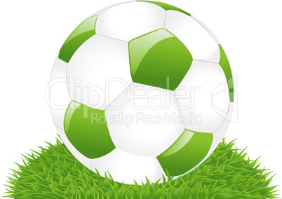 Green Soccer Ball On Grass