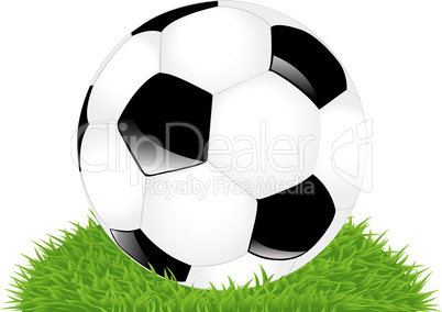 Classic Soccer Ball On Grass