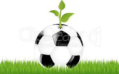 Soccer Ball With Sprout
