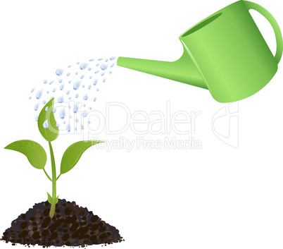 Green Young plant with watering can