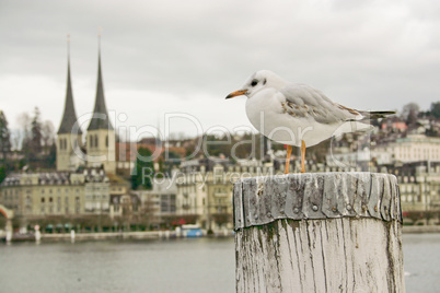 Lucern, Switzerland