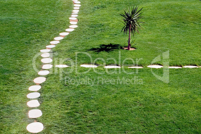 Stone path through lawn
