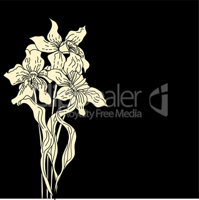 Retro stylized narcissus flowers