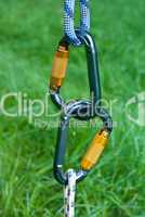 carabiners on a green grass background