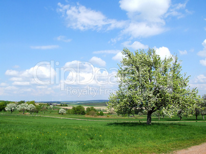 Landschaft im Hunsrück