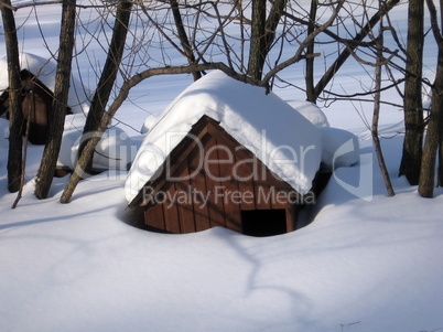 House in snow