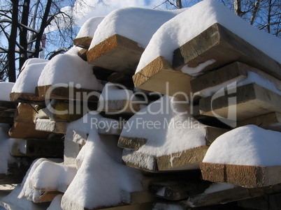 Logs in snow