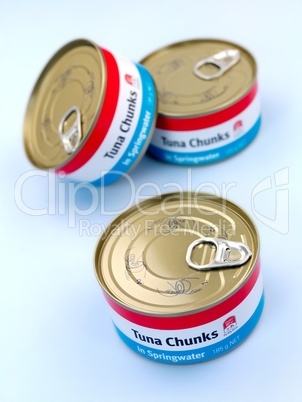 Generic Canned Tuna