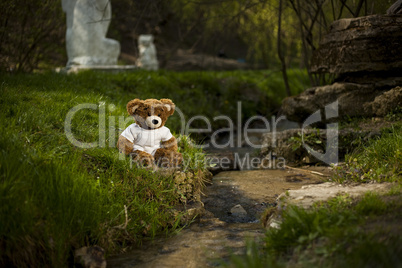 Teddy bear near a river