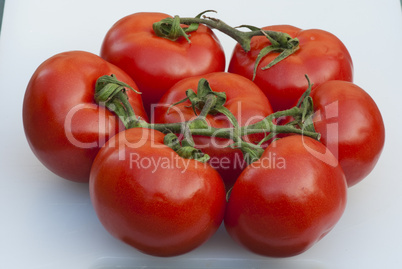 Fresh Tomatoes, Tuscany