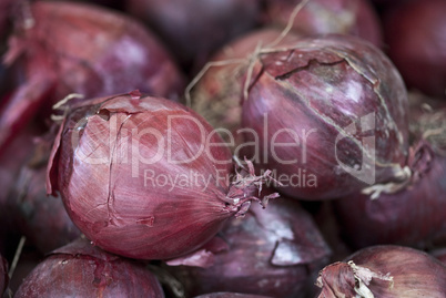 Onions in a Market
