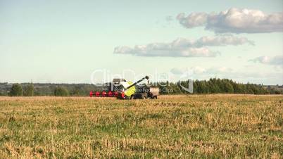 Wheat harvest season