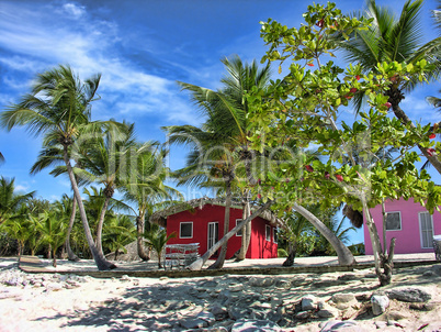 Small and Coloured Homes on the Coast of Santo Domingo