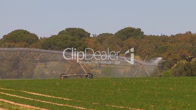 Water sprinkler irrigation system watering the farm