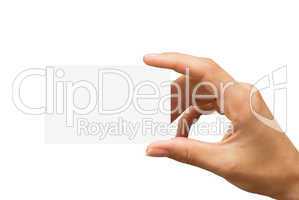 empty business card in a women's hand