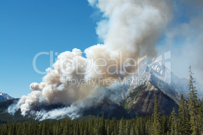 Forest fire in the Rocky Mountains 1