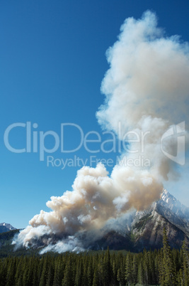 Forest fire in the Rocky Mountains 1