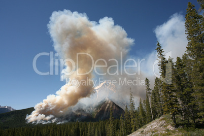 Forest fire in the Rocky Mountains