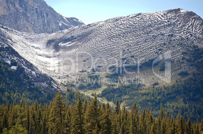 Alpine slopes