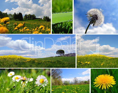 Frühling Wiese Hintergrund Karte