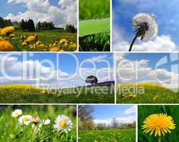 Frühling Wiese Hintergrund Karte