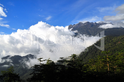 Urwald von Borneo