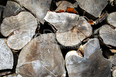 Holz aus dem Wald