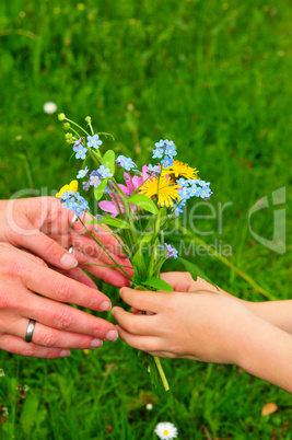 Hände Blumen Pflanze