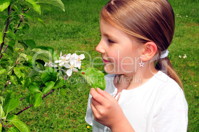 Mädchen riecht an Apfelblüten