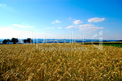 Landschaft Panorama