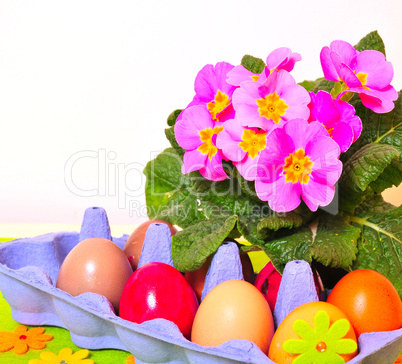 Eier und Blumen