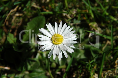 Frühling und Ostern