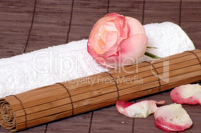 Handtuch und Blütenblätter