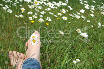 Füße auf Blumenwiese