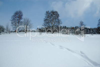 Schnee in den Bergen im Winter