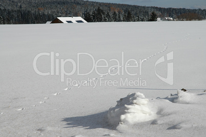 Schnee in den Bergen im Winter