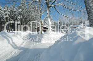 Schnee in den Bergen im Winter