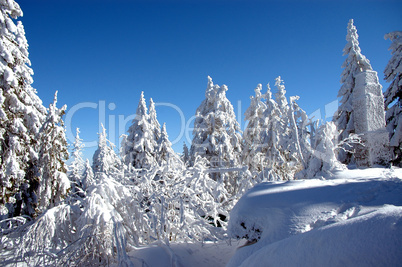 Schnee in den Bergen im Winter