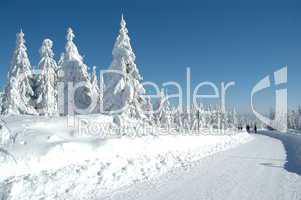 Schnee in den Bergen im Winter