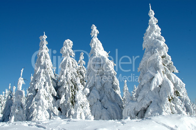 Schnee in den Bergen im Winter