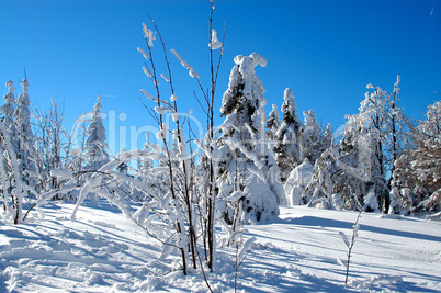 Schnee in den Bergen im Winter